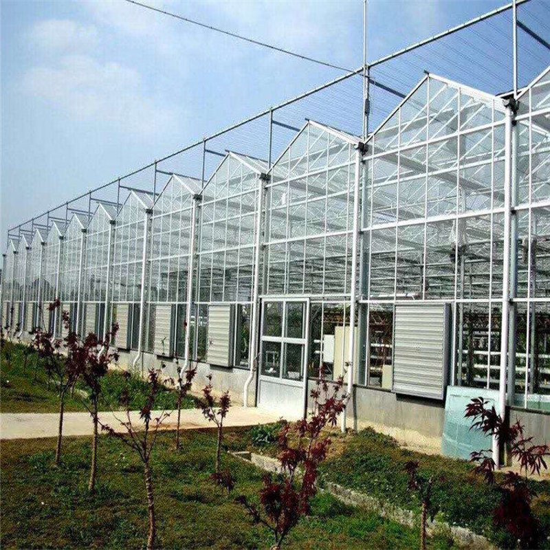 阳光板温室:构建绿色梦想的透明穹顶