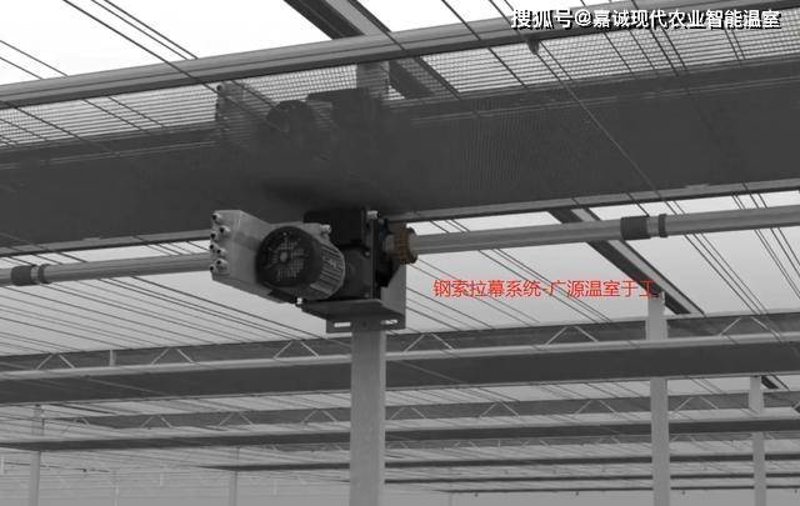 阳光板温室：打造植物生长的绿色天堂